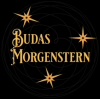 BUDAS MORGENSTERN j.d.o.o. logo