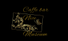 Caffe bar Nice Museum logo