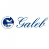 Galeb logo