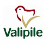 Valipile logo